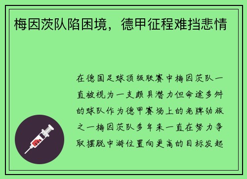 梅因茨队陷困境，德甲征程难挡悲情